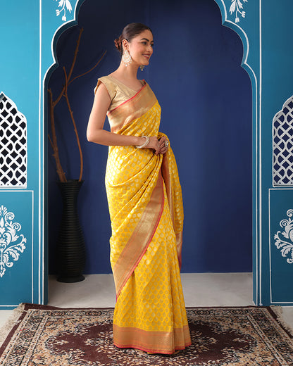 Vasant-Rani Katan Silk Banarasi Saree with Unstiched Blouse