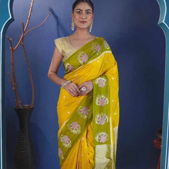 Dhani Banarasi Meenakari saree